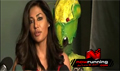 Chitrangada Singh Photoshoot For Peta and Jokers