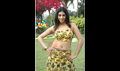Avan Varuvan Picture
