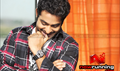 Brindaavanam Picture
