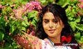 Arakkonam Picture