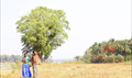 Attakadha Picture