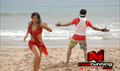 Bhojpuri Picture