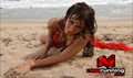 Bhojpuri Picture