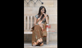 Chiru Picture