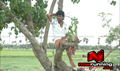 Kalavaani Picture