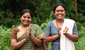 Elsamma Enna Aankutty Picture