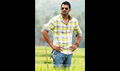 Mr. Perfect Picture