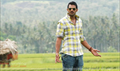 Mr. Perfect Picture