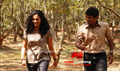 Prithvi Picture