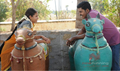 Vengayam Picture