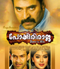Pokkiri Raja