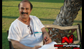 Aadu Puli Picture