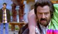 Trailer 5