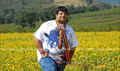 Amayakudu Picture