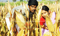 Azhagar Samiyin Kuthirai Picture