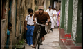 Barfi! Picture