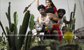 Beeman Hasthinapuram Picture