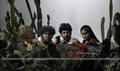 Beeman Hasthinapuram Picture