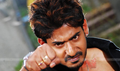 Bhadra Picture