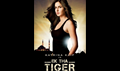 Ek Tha Tiger Picture