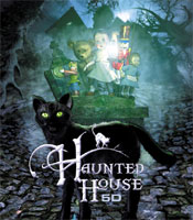 All about Haunted House 5D