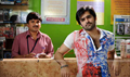 Kandireega Picture