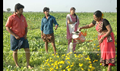 Kho Kho Picture