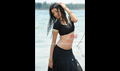 Kodi punju Picture