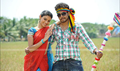 Kodi punju Picture