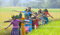 Manushya Mrugam Picture
