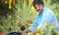 Mogudu Picture