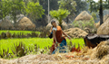 Mr.Lavangam Picture