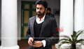 Panjaa Picture