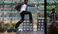 Panjaa Picture