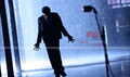 Panjaa Picture