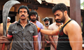 Poola Rangadu Picture