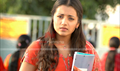 Poorna Market Picture