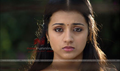 Poorna Market Picture