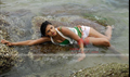 Rajendra Picture