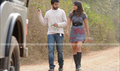 Saithan Picture