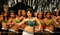 Simha Putrudu Picture