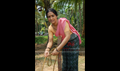 Snehadaram Picture
