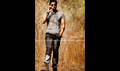 Solo Picture