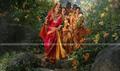 Sri Srinivasa Padmavathi Kalyanam Picture