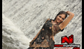 Raghuvinte Swantham Rasiya Picture