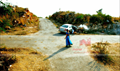 916 KDM Prema Picture