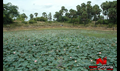 Amirtha Yogam Picture