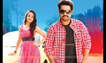 Dhammu Picture