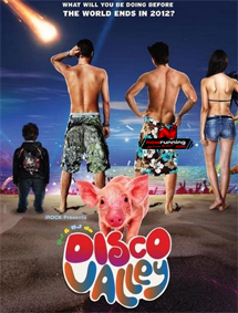 All about Disco Valley