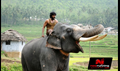 Gaja Raju Picture